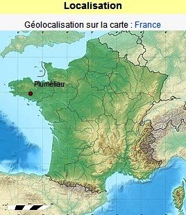 Plumeliau carte.jpg