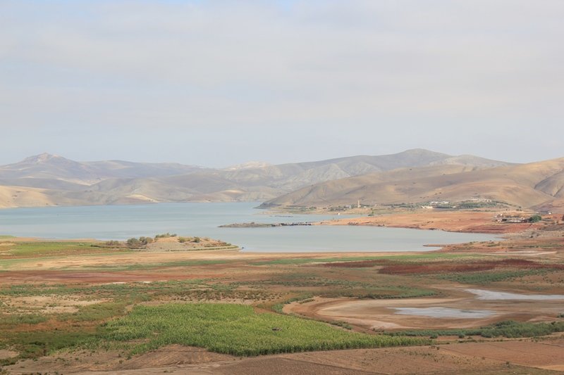 Sidi Chahed