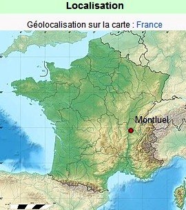 Montluel carte.jpg