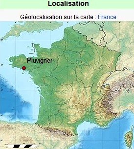 Pluvigner carte.jpg