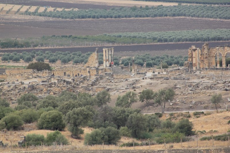 VOLUBILIS