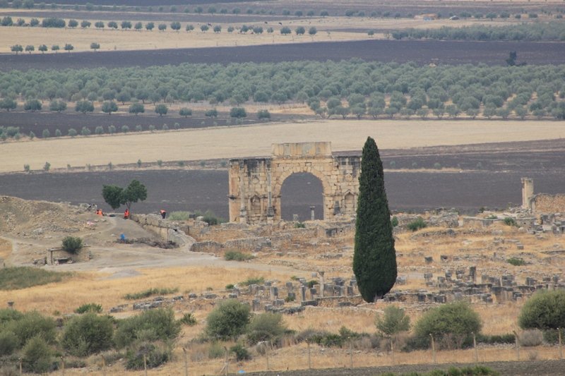 VOLUBILIS