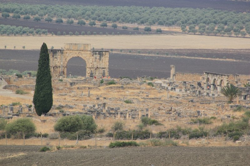 VOLUBILIS