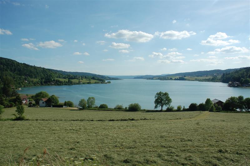 DSC_0217 (Medium).JPG