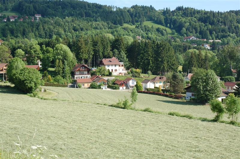 DSC_0219 (Medium).JPG