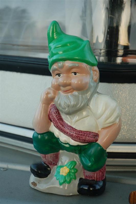 DSC_0230 (Medium).JPG