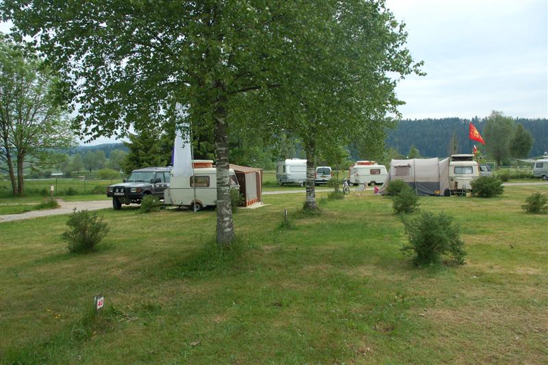 DSC_0325 (Medium).JPG