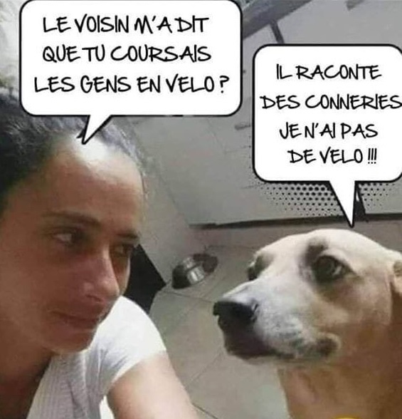 2CAE1647-1C59-49D6-9710-853941A4D485.jpeg