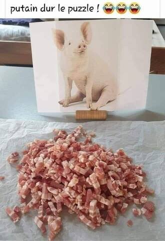 26434510.jpg