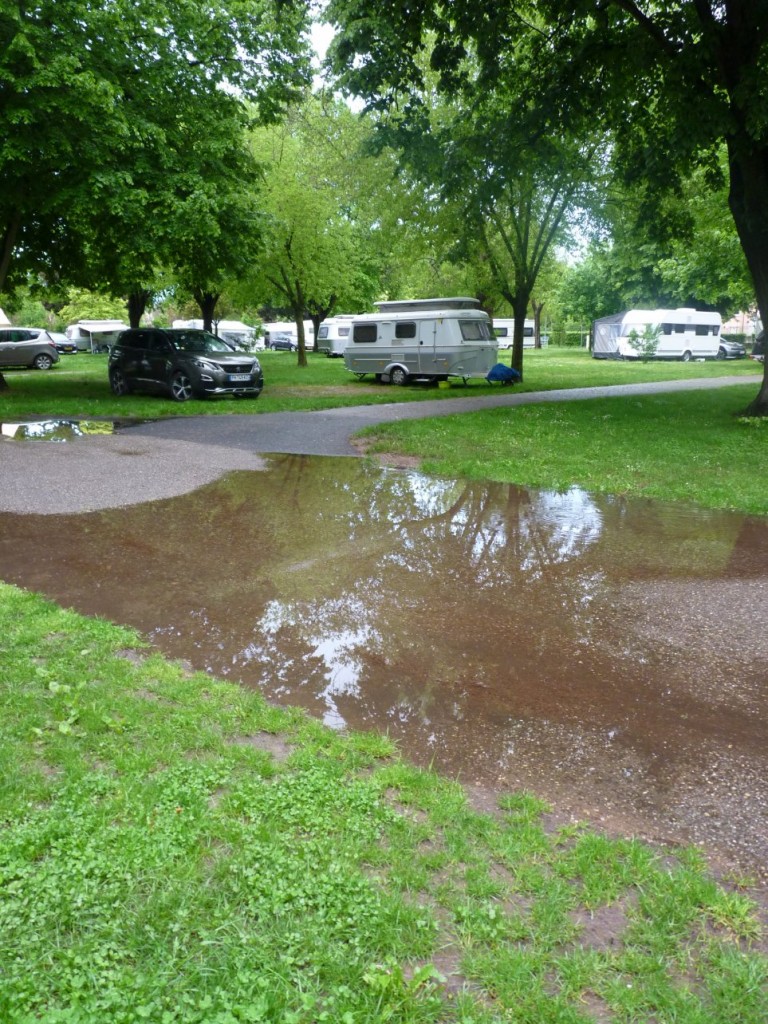 Pour la joie des canards !
